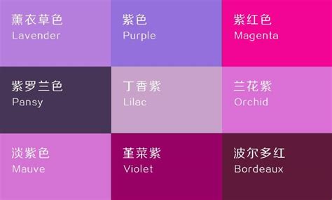紫色代表什麼